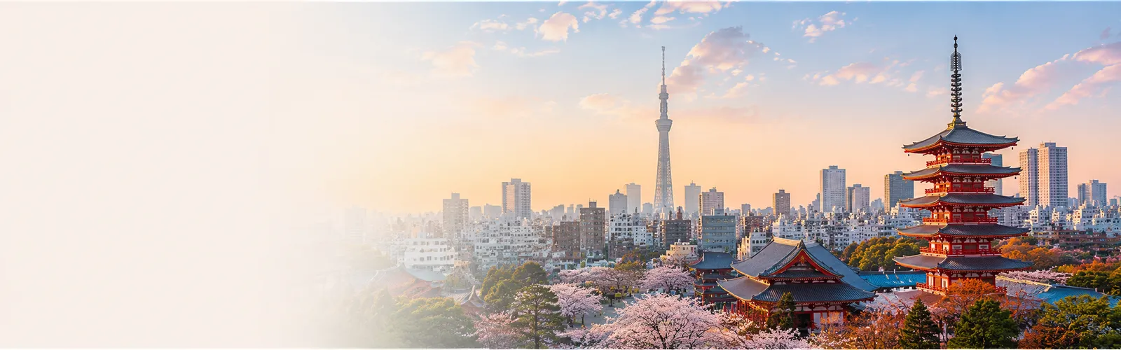 3 Kata Serapan Bahasa Indonesia dari Bahasa Jepang